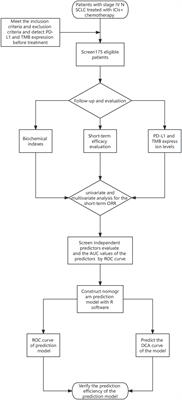 Predictive value of PD-L1 and TMB for short-term efficacy prognosis in non-small cell lung cancer and construction of prediction models